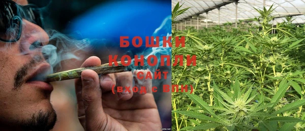 гидропоника Алзамай