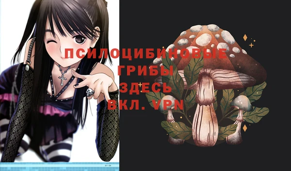 соль курить ск Абаза